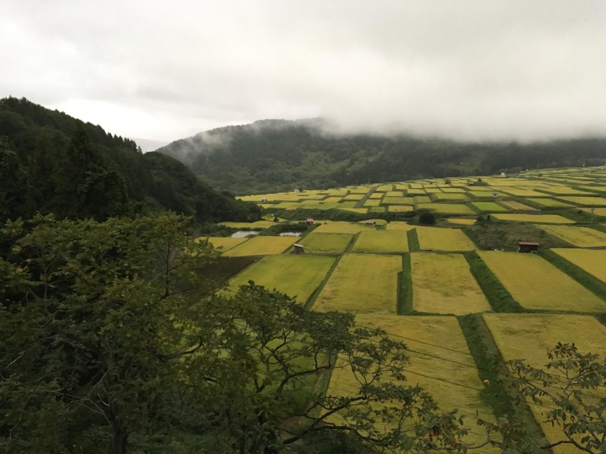 Elizabeth Hotel Nozawaonsen Ngoại thất bức ảnh